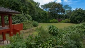 Ocean View Land with Guest House for Sale in Tres Rios Costa Rica 190683 (22)