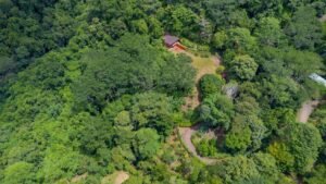 Ocean View Land with Guest House for Sale in Tres Rios Costa Rica 190683 (25)