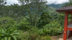 Ocean View Land with Guest House for Sale in Tres Rios Costa Rica 190683 (8)