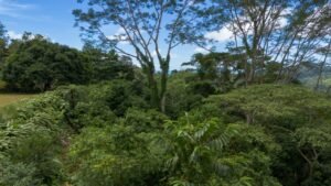 Ocean View Land with Guest House for Sale in Tres Rios Costa Rica 190683 (9)