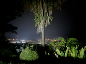 Ocean View Property in Uvita – 190381 (1)