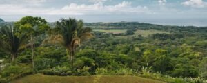 Ocean View Property in Uvita – 190381 (1)