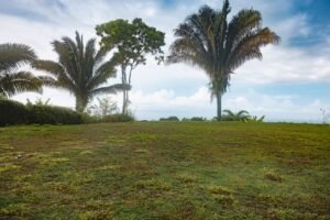 Ocean View Property in Uvita – 190381 (10)