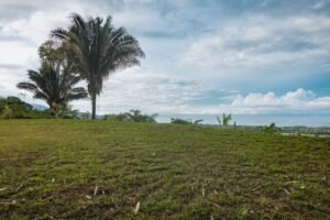 Ocean View Property in Uvita – 190381 (14)