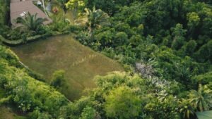 Ocean View Property in Uvita – 190381 (16)
