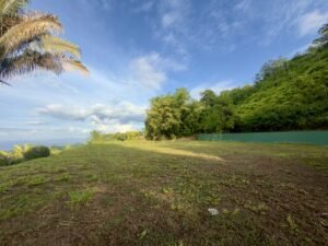 Ocean View Property in Uvita – 190381 (17)