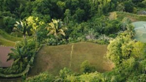 Ocean View Property in Uvita – 190381 (3)