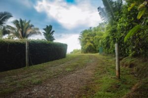 Ocean View Property in Uvita – 190381 (5)