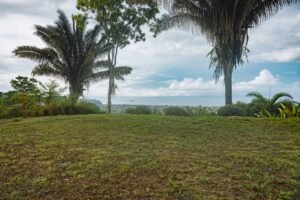 Ocean View Property in Uvita – 190381 (6)