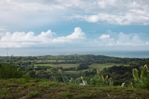 Ocean View Property in Uvita – 190381 (7)