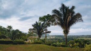 Ocean View Property in Uvita – 190381 (8)