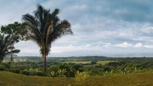 Ocean View Property in Uvita – 190381 (9)