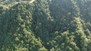 Secluded Mountain Farm with Ocean Views in Uvita Hills – 190824 (1)