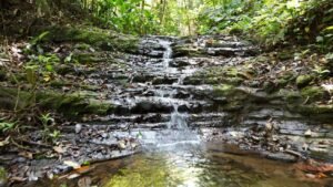 Secluded Mountain Farm with Ocean Views in Uvita Hills – 190824 (11)