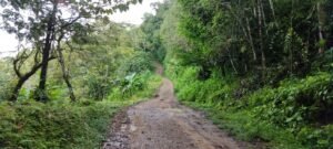 Secluded Mountain Farm with Ocean Views in Uvita Hills – 190824 (15)