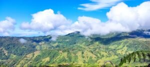 Secluded Mountain Farm with Ocean Views in Uvita Hills – 190824 (16)