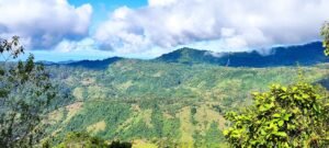 Secluded Mountain Farm with Ocean Views in Uvita Hills – 190824 (19)