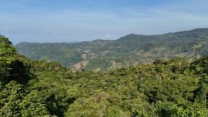 Secluded Mountain Farm with Ocean Views in Uvita Hills – 190824 (2)