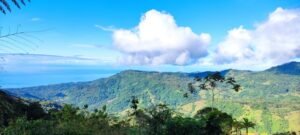 Secluded Mountain Farm with Ocean Views in Uvita Hills – 190824 (21)
