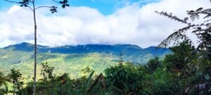 Secluded Mountain Farm with Ocean Views in Uvita Hills – 190824 (22)