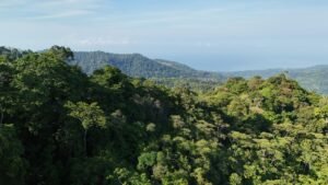 Secluded Mountain Farm with Ocean Views in Uvita Hills – 190824 (23)