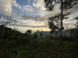 Secluded Mountain Farm with Ocean Views in Uvita Hills – 190824 (26)