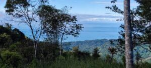 Secluded Mountain Farm with Ocean Views in Uvita Hills – 190824 (33)