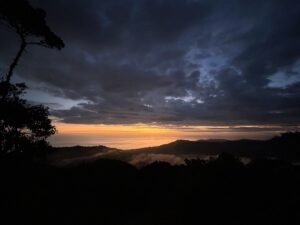 Secluded Mountain Farm with Ocean Views in Uvita Hills – 190824 (38)