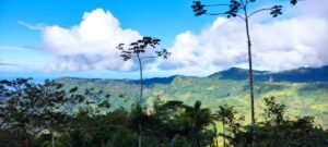 Secluded Mountain Farm with Ocean Views in Uvita Hills – 190824 (4)