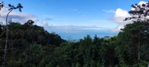 Secluded Mountain Farm with Ocean Views in Uvita Hills – 190824 (5)