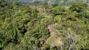 Secluded Mountain Farm with Ocean Views in Uvita Hills – 190824 (6)