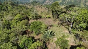 Secluded Mountain Farm with Ocean Views in Uvita Hills – 190824 (7)