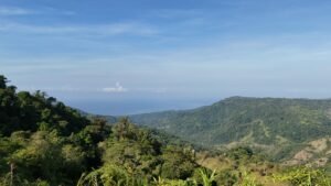Secluded Mountain Farm with Ocean Views in Uvita Hills – 190824 (8)