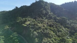 Secluded Mountain Farm with Ocean Views in Uvita Hills – 190824 (9)