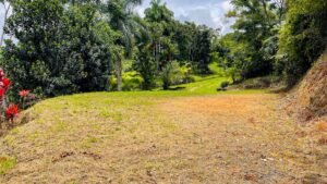 120003 Three Building Sites For Sale 07