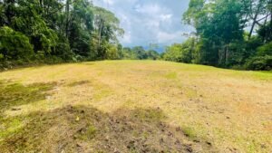 120003 Three Building Sites For Sale 14