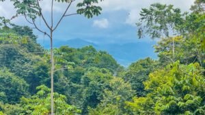 120003 Three Building Sites For Sale 19