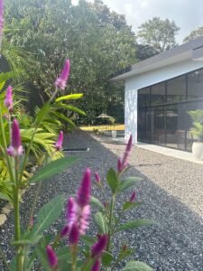 3 Bedroom Home with Private Jungle & Large Lot in Bahía Ballena, Uvita – 192334 (18)
