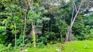 5528 – 2 Bedroom Jungle view home in Ojochal_29