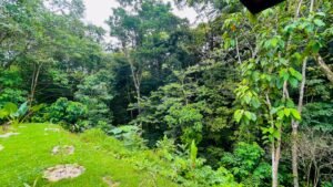 5528 – 2 Bedroom Jungle view home in Ojochal_30