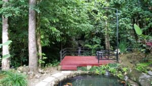 5530 – 3 Bedroom Home with Private Waterfall_02