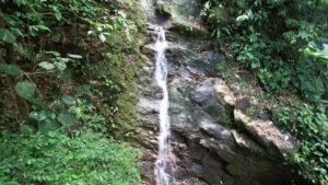 5530 – 3 Bedroom Home with Private Waterfall_03