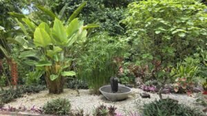 5530 – 3 Bedroom Home with Private Waterfall_04