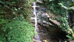 5530 – 3 Bedroom Home with Private Waterfall_39