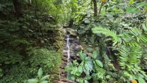 5530 – 3 Bedroom Home with Private Waterfall_40