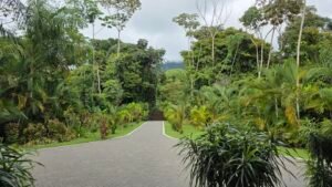 Affordable Ocean View Home in Uvita Costa Rica Resort-Style Living on 2.33 Acres – 193160 (23)