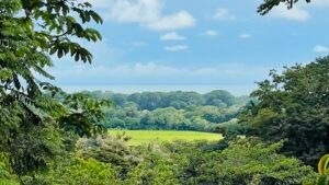 Affordable Ocean View Home in Uvita Costa Rica Resort-Style Living on 2.33 Acres – 193160 (28)