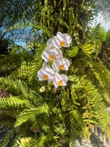 Casa de Orquídeas – Ocean, Mountain & Jungle View Home in Gated Ojochal Community (14)