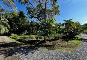 Corner Lot for Sale in Uvita 8-Minute Walk to Marino Ballena Beach – 192252 (11)