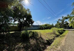Corner Lot for Sale in Uvita 8-Minute Walk to Marino Ballena Beach – 192252 (5)
